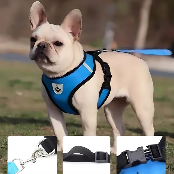 Coleira Peitoral Refletivo Com Guia Cachorro Cães Gato Pet Azul Tamanho:XL(GG)